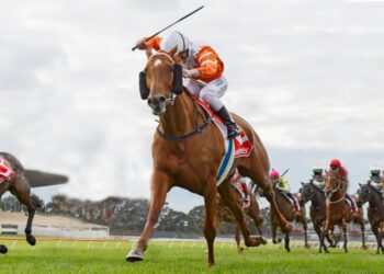 Betsy’s Best – Sandown