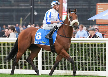 The Trial Files: Bendigo Review