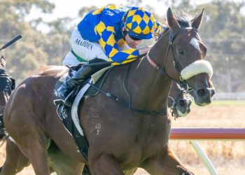 Swan Hill Set: Matt Welsh’s Best for Tuesday