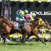 Melbourne Cup 2024 Replay