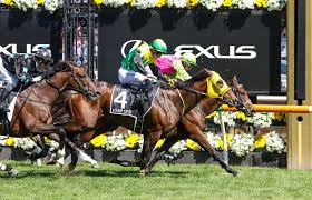 Melbourne Cup 2024 Replay