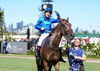 Kitten’s trial misleading says Melham