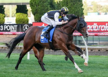 Betsy’s Set: Morphettville Saturday