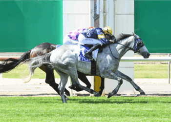 Betsy’s Set: Eagle Farm