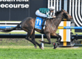 Mad Monday: Memsie Stakes in review