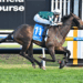 Mad Monday: Memsie Stakes in review
