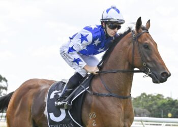 The Trial Files: NSW Weekly Review