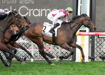 Stars step out at Caulfield