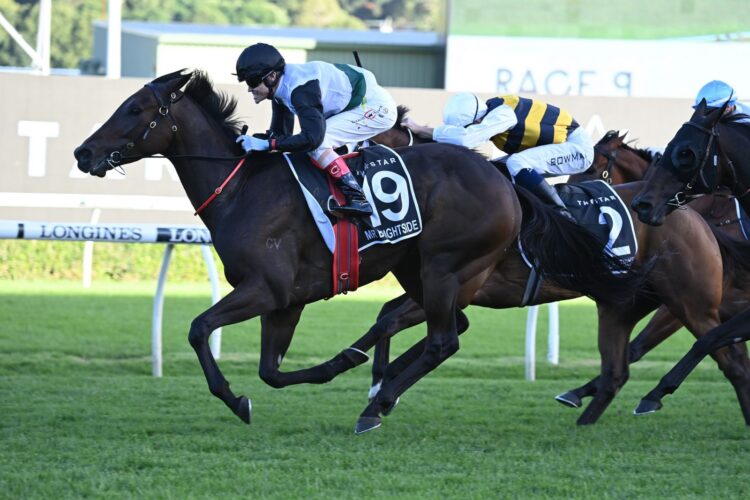 Mr Brightside was back at the trials.