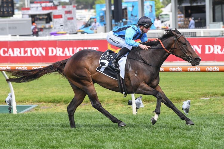 Asfoora ridden by Mitchell Aitken