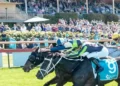 Bendigo Cup corwd shot
