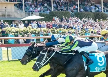 Bendigo Cup corwd shot
