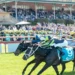 Bendigo Cup corwd shot