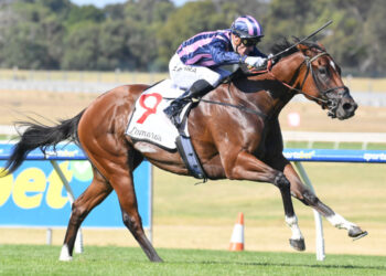 She’s Bulletproof to skip Group 1