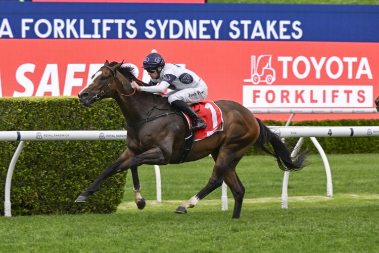 Overpass [Bradley photos]