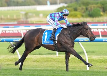 Jenni eyeing off Treasurethe Moment clash