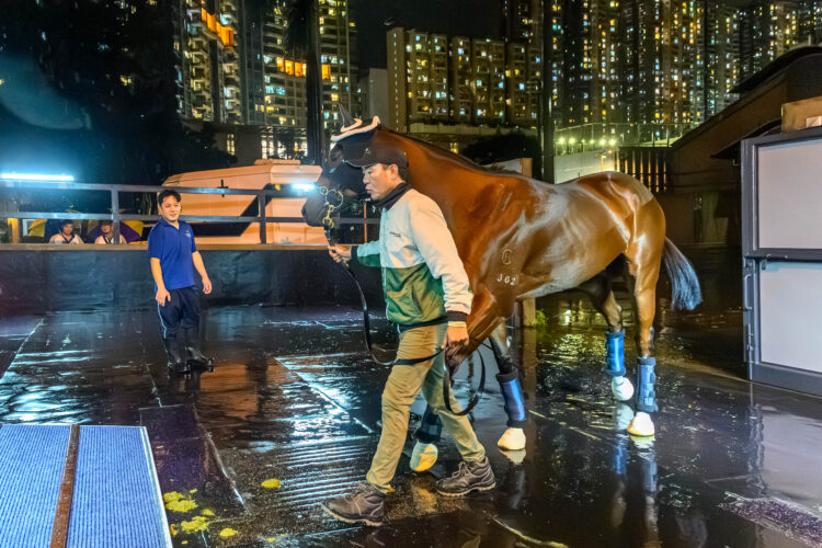 Ka Ying Rising boards a plane for Sydney [Supplied]