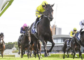 ‘Hope they scratch’