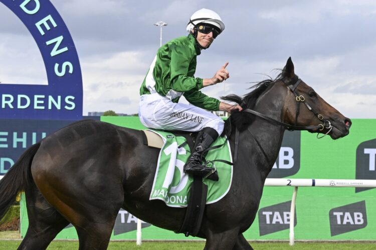 Marhoona [Bradley Photos]