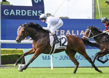 Portelli’s Queen ready to dethrone Apocalyptic