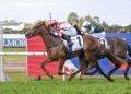 Skyhook primed for Golden Rose but Coolmore is the grand final