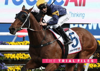 The Trial Files Tip: Flemington