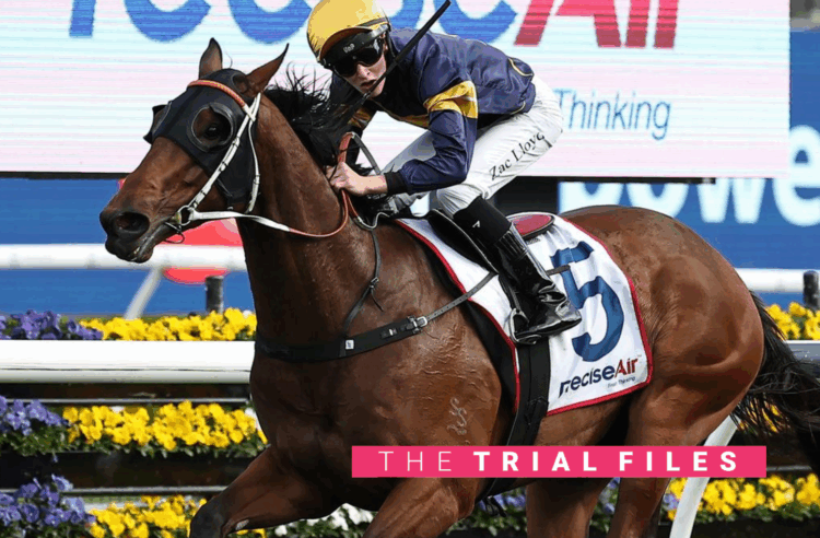 Airman was most impressive at the trials