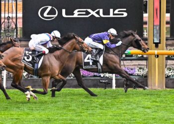 The Saturday Wash-Up