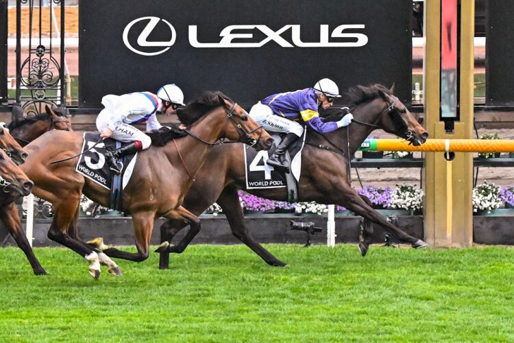 Arkansaw Kid ridden by Blake Shinn wins the HKJC World Pool Bobbie Lewis Quality at Flemington Racecourse on September 13, 2025 in Flemington, Australia. (Photo by Reg Ryan/Racing Photos)