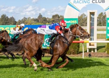 $101 pop floors Tatura punters