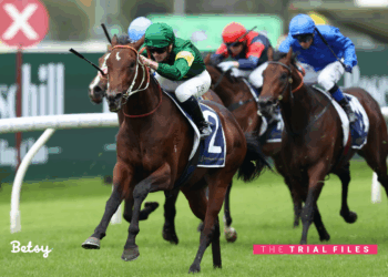 The Trial Files: NSW review