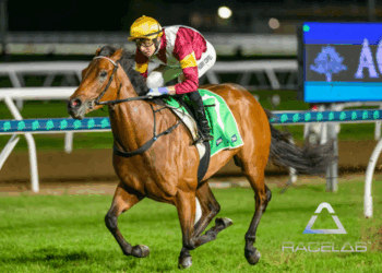 In The Lab: 2025 Moir Stakes