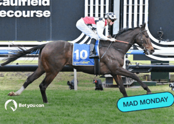 Mad Monday: Underwood Stakes Day
