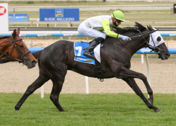 The Trial Files: Murray Bridge Review