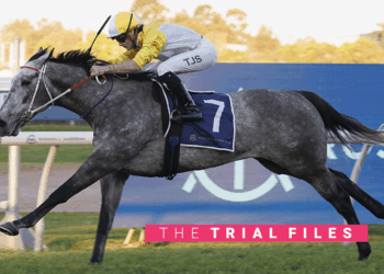 The Trial Files: Dean’s Sydney Review