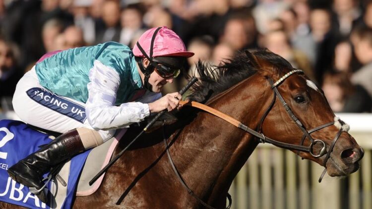 A son of the great Frankel leads the market in the opener at Benalla.