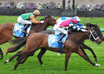 Wafer-thin margin, Big Whip Question