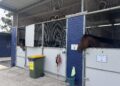 Ka Ying Rising’s secret weapon in Sydney? A stablemate who just eats
