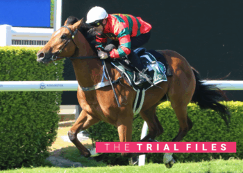 The Trial Files: First 2YO’s trial at Kensington