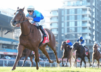 Esha’s emergency plans for Moir Stakes