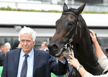 Kiwi master set for Moir raid