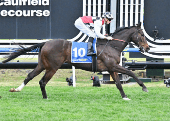 Betsy’s best futures plays