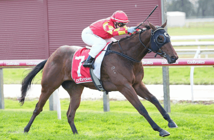 Lake Gillear won race four at Moe. Courtesy: Racing Photos