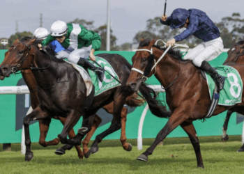 Freedman pair ready to fire