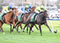 The Wash Up – Underwood Stakes Day