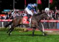Mad Monday: Grand Final Weekend