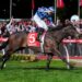 Mad Monday: Grand Final Weekend