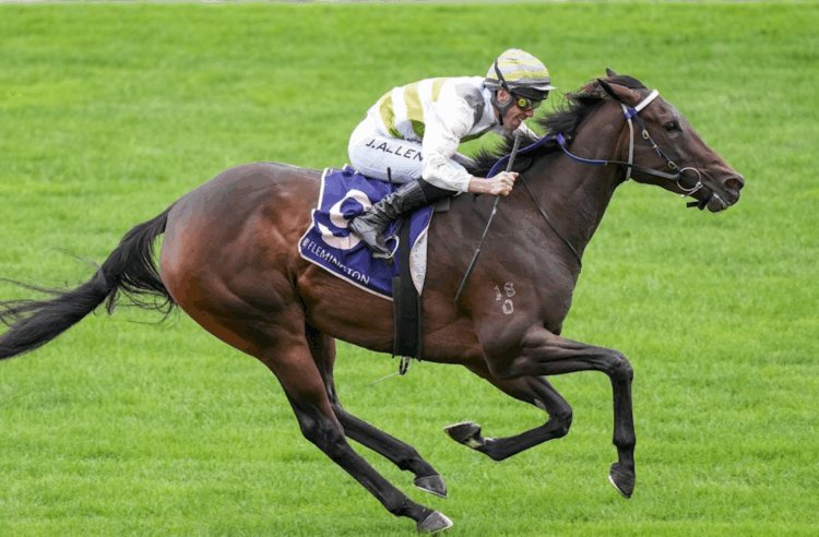 Skybird ridden by John Allen  (Photo by Scott Barbour/Racing Photos)