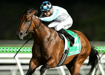 The Trial Files: Rosehill Review