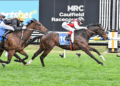 Mad Monday: Underwood Stakes Day
